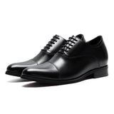 OXFORD |  7cm Boost